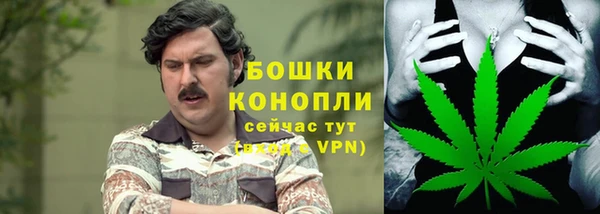 гидропоника Богородицк