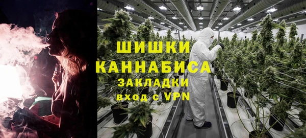 бутират Богданович