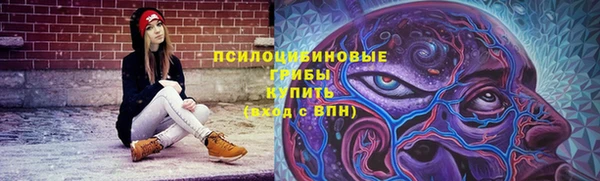 гидропоника Богородицк