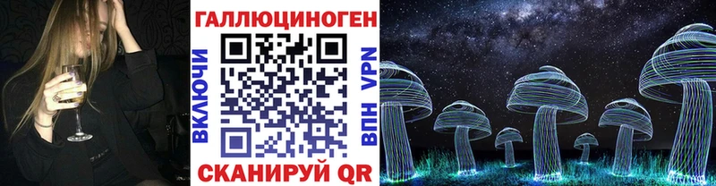 Купить закладки  Мегион  Галлюциногенные грибы Psilocybe 